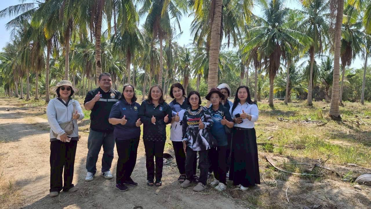 พช.เมืองประจวบคีรีขันธ์🌊🌼  ร่วมงานเปิดสวนร่วมสู้ศัตรูมะพร้าว ด้วย ๓ วิธี สู่ความสำเร็จ "เจาะต้น พ่นใบ ผลิตใช้แตนเบียน"